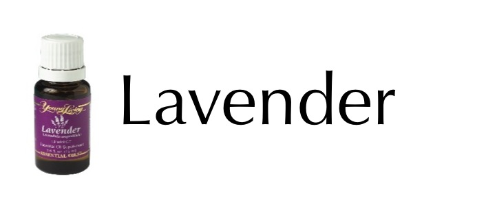 lavender